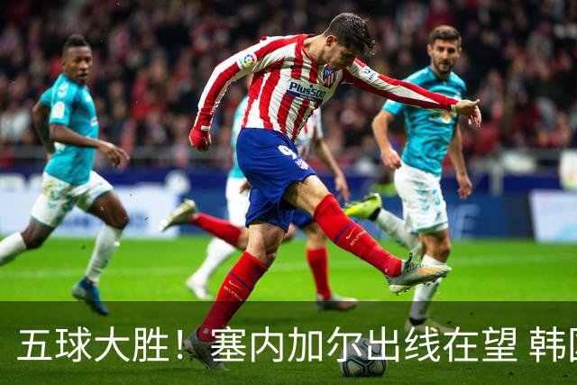 五球大胜！塞内加尔出线在望 韩国晋级仅剩理论希望
